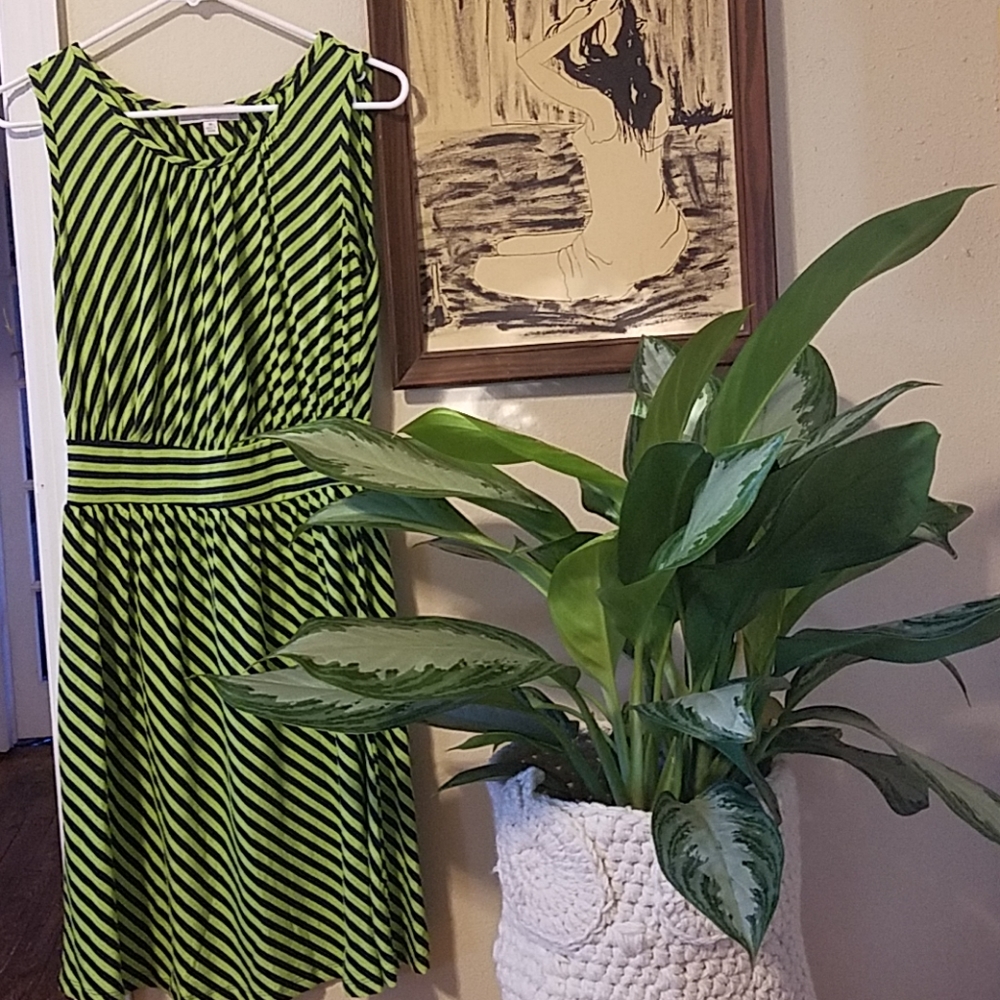 Haani Navy Blue and Green Striped Dress